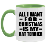 All I Want For Christmas Is My Rat Terrier - 11oz Accent Mug Green