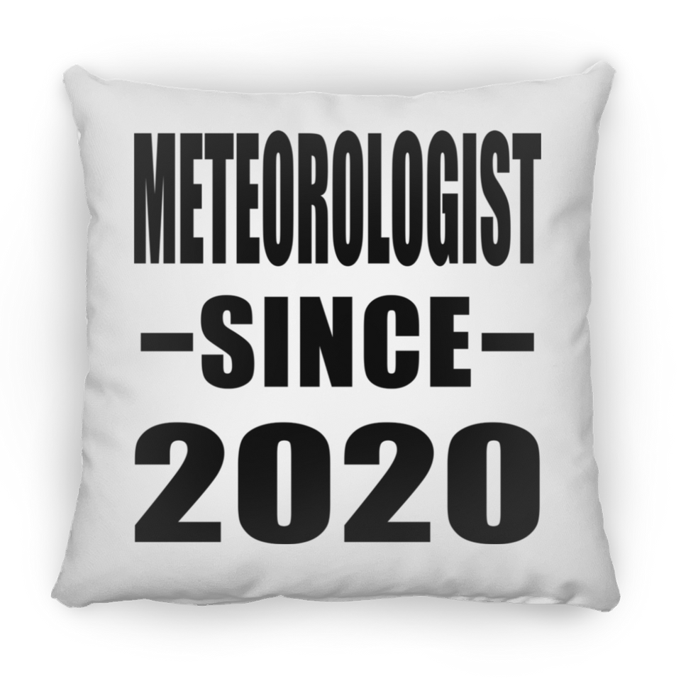 Meteorologist Since 2020 - Throw Pillow