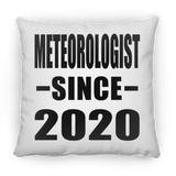 Meteorologist Since 2020 - Throw Pillow