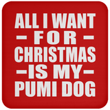 All I Want For Christmas Is My Pumi Dog - Coaster