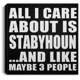 All I Care About Is Stabyhoun - Canvas Square