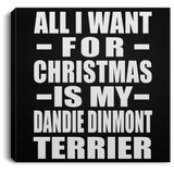 All I Want For Christmas Is My Dandie Dinmont Terrier - Canvas Square