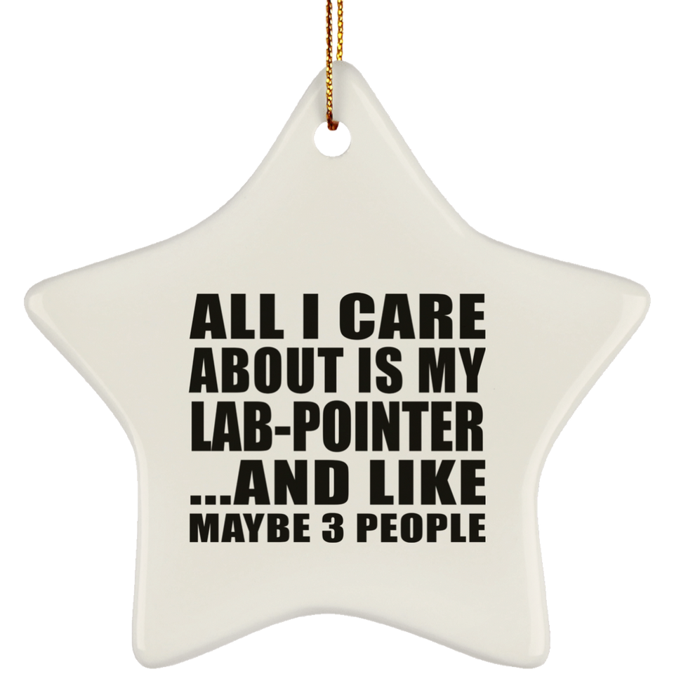 All I Care About Is My Lab-Pointer - Star Ornament