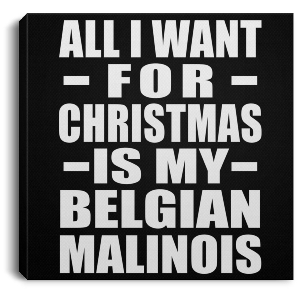 All I Want For Christmas Is My Belgian Malinois - Canvas Square