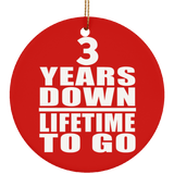 3rd Anniversary 3 Years Down Lifetime To Go - Circle Ornament