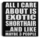 All I Care About Is Exotic Shorthair - Canvas Square