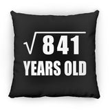 29th Birthday Square Root of 841 Years Old - Throw Pillow Black