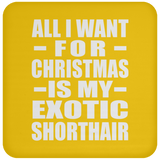All I Want For Christmas Is My Exotic Shorthair - Coaster