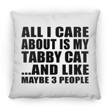 All I Care About Is My Tabby Cat - Throw Pillow
