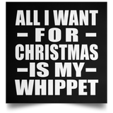 All I Want For Christmas Is My Whippet - Poster Square