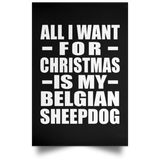 All I Want For Christmas Is My Belgian Sheepdog - Poster Portrait