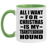 All I Want For Christmas Is My Transylvanian Hound - 11oz Accent Mug Green