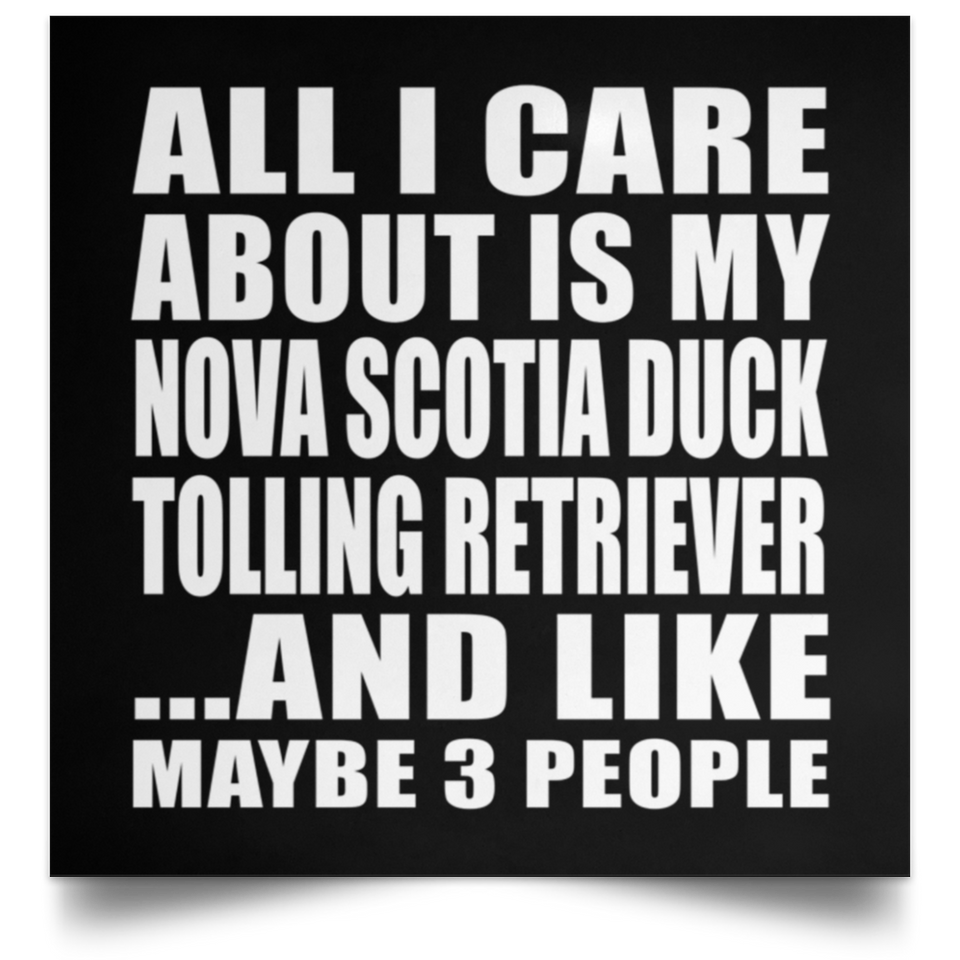 All I Care About Is My Nova Scotia Duck Tolling Retriever - Poster Square