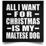 All I Want For Christmas Is My Maltese Dog - Poster Square