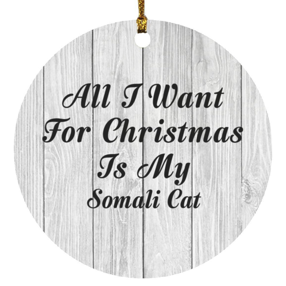 All I Want For Christmas Is My Somali Cat - Circle Ornament F