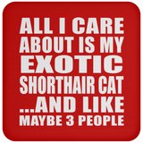 All I Care About Is My Exotic Shorthair Cat - Drink Coaster