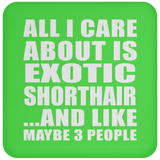 All I Care About Is Exotic Shorthair - Drink Coaster