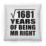 41st Anniversary Square Root of 1681 Years of Being Mr Right - Throw Pillow