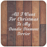 All I Want For Christmas Is My Dandie Dinmont Terrier - Drink Coaster E