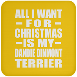 All I Want For Christmas Is My Dandie Dinmont Terrier - Coaster