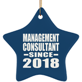 Management Consultant Since 2018 - Star Ornament