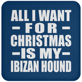 All I Want For Christmas Is My Ibizan Hound - Coaster