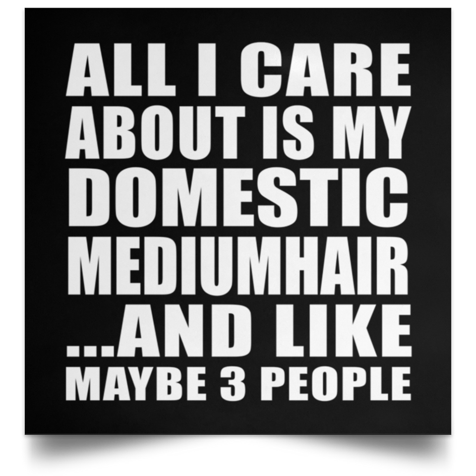 All I Care About Is My Domestic Mediumhair - Poster Square