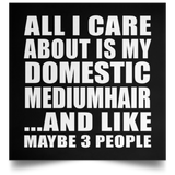 All I Care About Is My Domestic Mediumhair - Poster Square