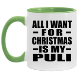 All I Want For Christmas Is My Puli - 11oz Accent Mug Green