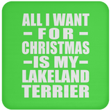 All I Want For Christmas Is My Lakeland Terrier - Coaster