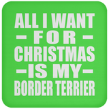 All I Want For Christmas Is My Border Terrier - Coaster