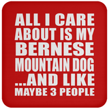 All I Care About Is My Bernese Mountain Dog - Drink Coaster