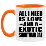All I Need Is Love And A Exotic Shorthair Cat - 11oz Accent Mug Orange