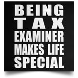 Being Tax Examiner Makes Life Special - Poster Square