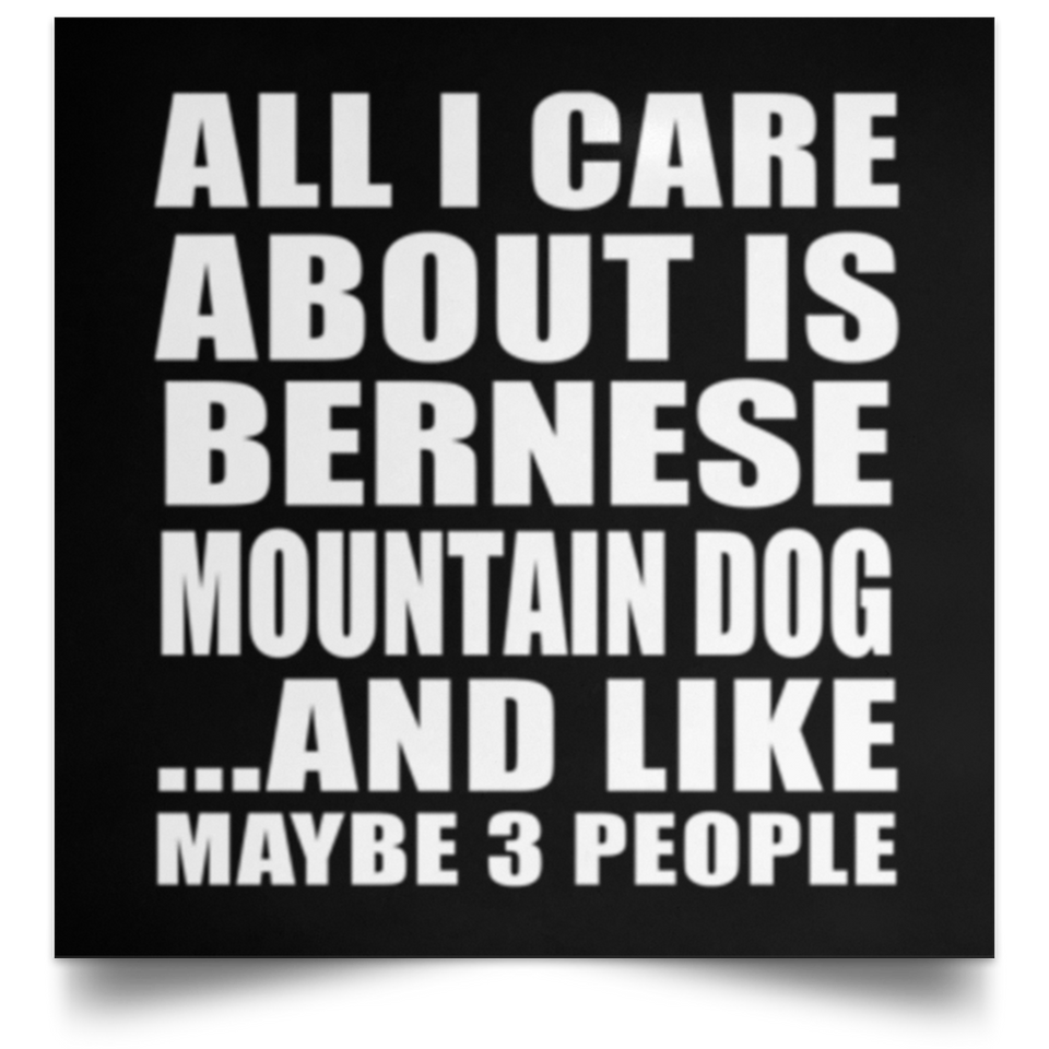 All I Care About Is Bernese Mountain Dog - Poster Square
