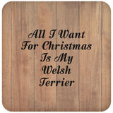 All I Want For Christmas Is My Welsh Terrier - Drink Coaster C