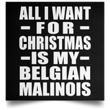 All I Want For Christmas Is My Belgian Malinois - Poster Square