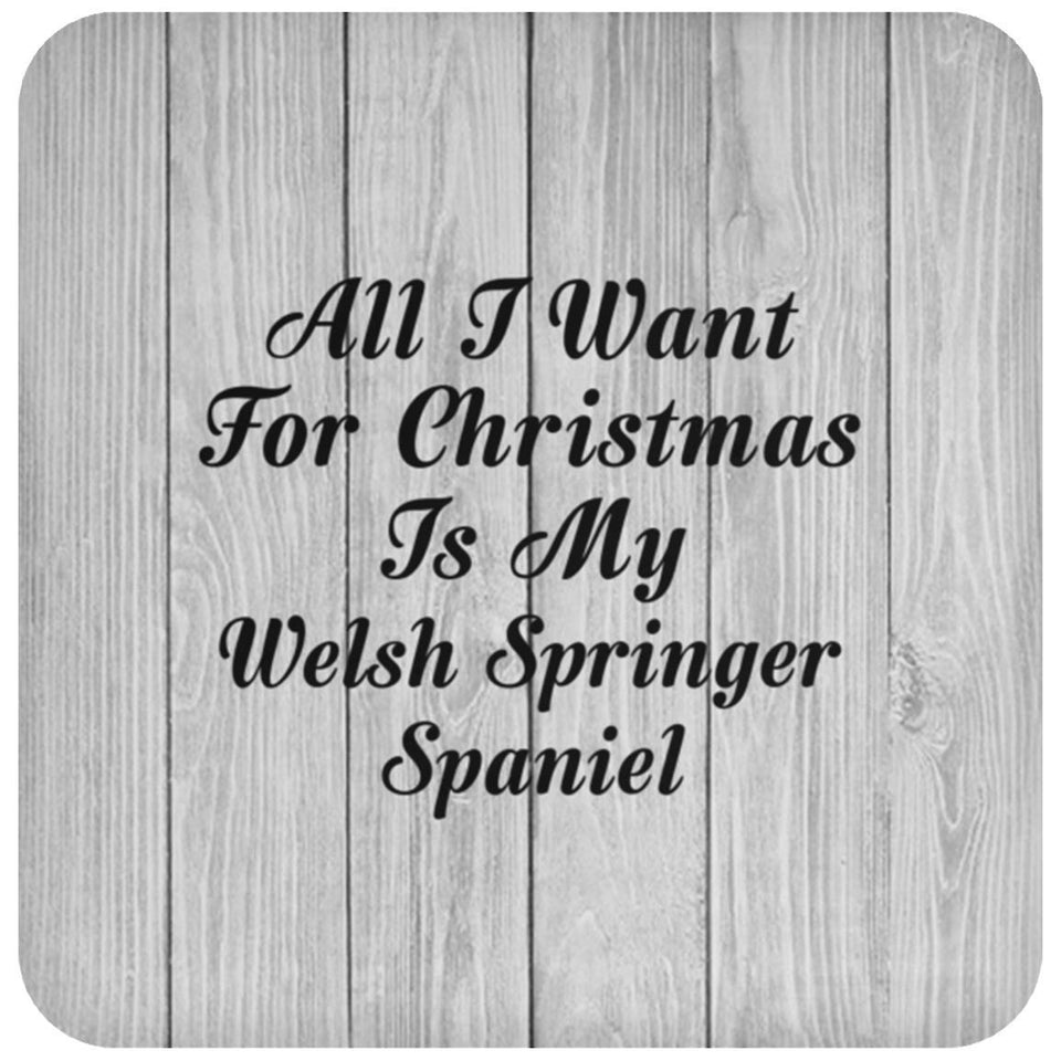 All I Want For Christmas Is My Welsh Springer Spaniel - Drink Coaster F
