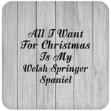 All I Want For Christmas Is My Welsh Springer Spaniel - Drink Coaster F