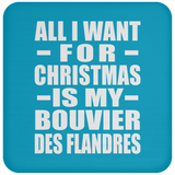 All I Want For Christmas Is My Bouvier Des Flandres - Coaster