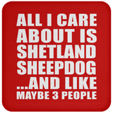All I Care About Is Shetland Sheepdog - Drink Coaster