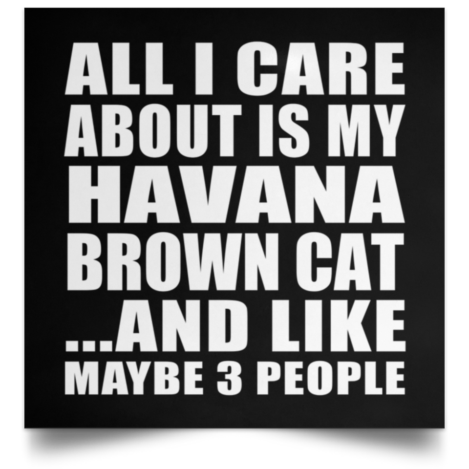 All I Care About Is My Havana Brown Cat - Poster Square