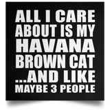 All I Care About Is My Havana Brown Cat - Poster Square