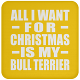 All I Want For Christmas Is My Bull Terrier - Coaster