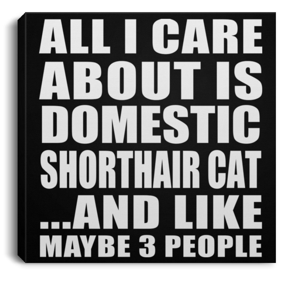 All I Care About Is Domestic Shorthair Cat - Canvas Square
