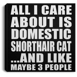 All I Care About Is Domestic Shorthair Cat - Canvas Square
