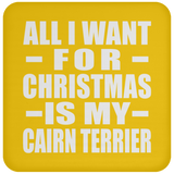 All I Want For Christmas Is My Cairn Terrier - Coaster