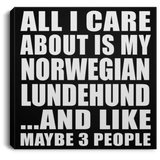 All I Care About Is My Norwegian Lundehund - Canvas Square