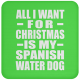 All I Want For Christmas Is My Spanish Water Dog - Coaster
