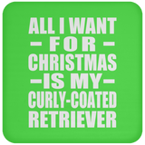All I Want For Christmas Is My Curly-Coated Retriever - Coaster
